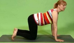 学瑜伽吃瓜,探寻健康生活的平衡之道