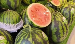 天天吃瓜官方,网络热词背后的文化现象