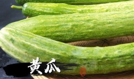 看吃瓜视频的步骤,解锁看吃瓜视频的乐趣之旅