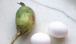 阿利松吃瓜,揭秘娱乐圈的甜蜜与苦涩