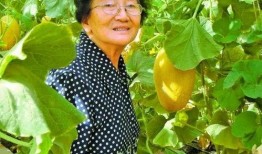 60岁网友吃瓜,吃瓜不忘岁月，笑谈人间百态