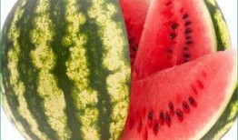 曹总吃金银瓜,舌尖上的奢华之旅