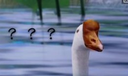 影梦吃瓜,揭秘娱乐圈幕后故事