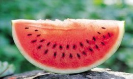 庄河海云天吃瓜,一场别开生面的吃瓜盛宴