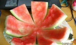 胖甜甜吃瓜,一场甜蜜的吃瓜盛宴