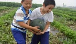 吃瓜秘密基地最新,探寻娱乐圈幕后真相