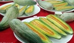 经期吃酥瓜,酥瓜助力女性健康调理