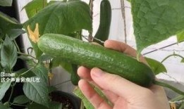 超播吃瓜,揭秘娱乐圈幕后故事