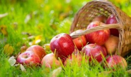 苹果吃瓜网166,揭秘科技圈最新热点与幕后故事