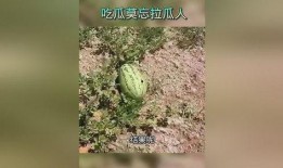 后人吃瓜在线,揭秘吃瓜文化的兴起与影响