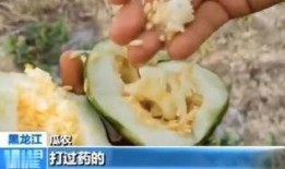 海宁盐仓吃瓜,夏日吃瓜盛宴，品味传统与现代的交融