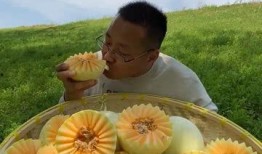 吃瓜美景图,共享夏日悠闲时光