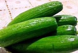 南方瓜减肥可以吃吗,健康美味两不误