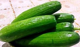 南方瓜减肥可以吃吗,健康美味两不误