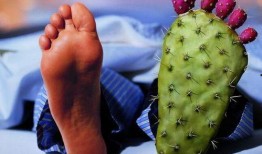 痛风茭瓜可以吃吗