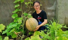 在农村小院吃瓜,瓜香四溢的夏日时光