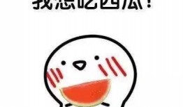 吃瓜了还想喝汤,尽享美味汤品