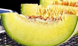 吃海南玫珑瓜网纹瓜声控,尽享海南网纹瓜美味之旅