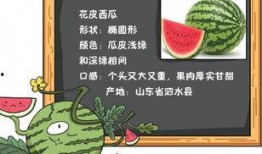 吃瓜仪式阅读原文,一场独特的文化盛宴