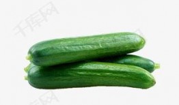 吃瓜资料有哪些,吃瓜群众眼中的明星幕后故事