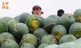 汕头朝阳吃瓜现场