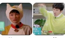 丞哥吃瓜,揭秘娱乐圈幕后真相