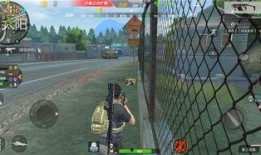 毒瓜吃鸡,揭秘游戏中的神秘元素与刺激冒险