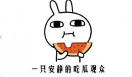 吃瓜的新方式,解锁新姿势，畅享娱乐盛宴