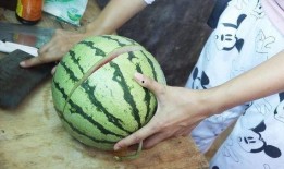 吃瓜的新方式,解锁新姿势，畅享娱乐盛宴