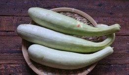 吃瓜买串,揭秘街头美食的独特魅力