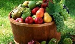 东湖椅子吃瓜,见证吃瓜群众的欢乐时光