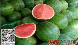 连续吃几天瓜,揭秘娱乐圈幕后风云