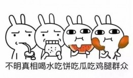 吃瓜群众意思,网络时代的围观力量