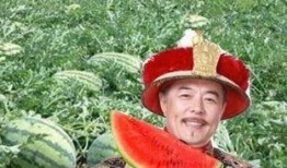 乾隆吃瓜的方法,宫廷吃瓜艺术揭秘