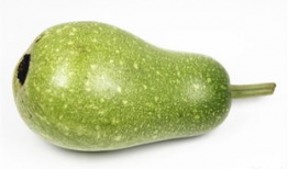 月下在线吃瓜,揭秘网络吃瓜文化的魅力与争议