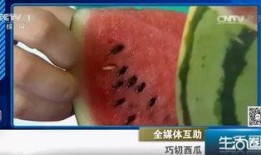 吃瓜不吐籽籽,揭秘瓜果种植与食用之道