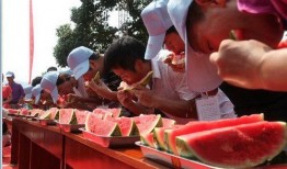 新塘吃瓜活动,一场别开生面的吃瓜盛宴