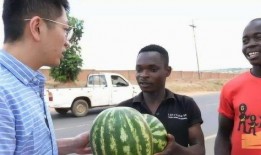 请外国人吃瓜,与外国友人共享中国夏日瓜果盛宴