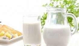 吃麻瓜喝牛奶,探寻魔法与日常的奇妙交融