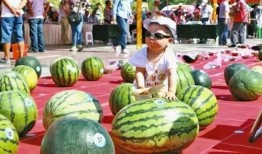 一级吃瓜选手,娱乐圈那些事儿