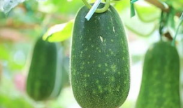 今热吃瓜,盘点娱乐圈最新热点事件