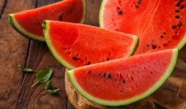 果果ai吃瓜,揭秘吃瓜界的智能新宠