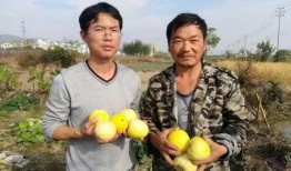 王老师吃瓜真实缅北,真实缅北吃瓜事件背后的故事