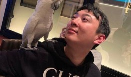 吃瓜事件曝光最新,真相揭露，网络舆论如何左右人生？