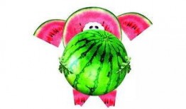 谷城吃瓜节,夏日狂欢，瓜果飘香，共赴一场味蕾盛宴”