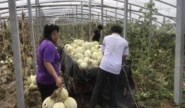 60岁网友吃瓜,吃瓜不忘岁月，笑谈人间百态