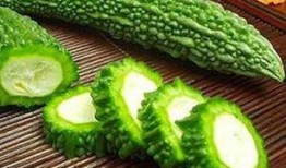 加菲现场吃瓜,萌宠视角下的夏日狂欢