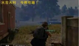 毒瓜吃鸡,揭秘游戏中的神秘元素与刺激冒险