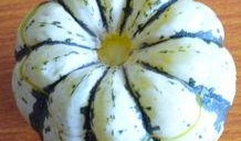 鸡蛋头吃小瓜,一场奇妙的味蕾冒险