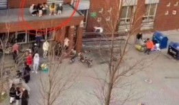 寝室楼下吃瓜,揭秘寝室楼下吃瓜背后的校园生活趣事